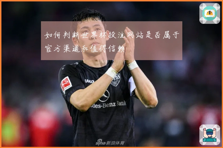 如何判断世界杯投注网站是否属于官方渠道和值得信赖