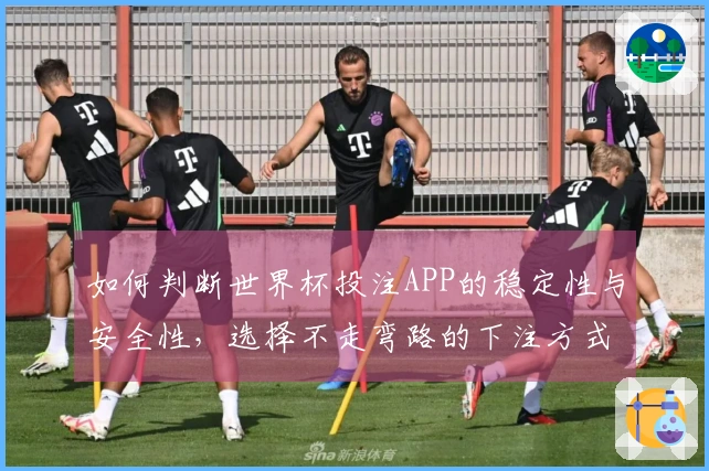 如何判断世界杯投注APP的稳定性与安全性，选择不走弯路的下注方式