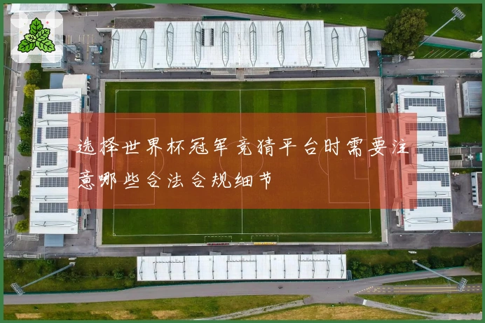 选择世界杯冠军竞猜平台时需要注意哪些合法合规细节