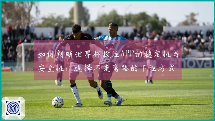 如何判断世界杯投注APP的稳定性与安全性，选择不走弯路的下注方式