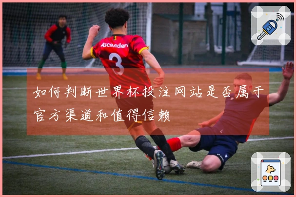 如何判断世界杯投注网站是否属于官方渠道和值得信赖